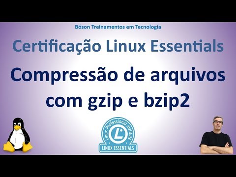 Certificação LPI Essentials - Comprimir arquivos com gzip e bzip2 no Linux