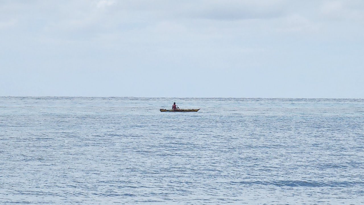 Ocean Life - Operation Watermaker