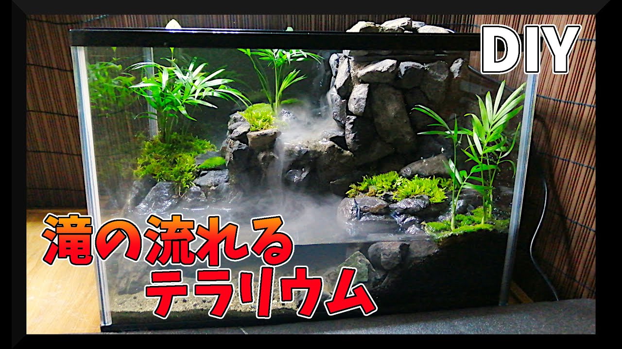 Aquaterrarium メダカを飼育するための滝のあるアクアテラリウムaquaterrarium Youtube