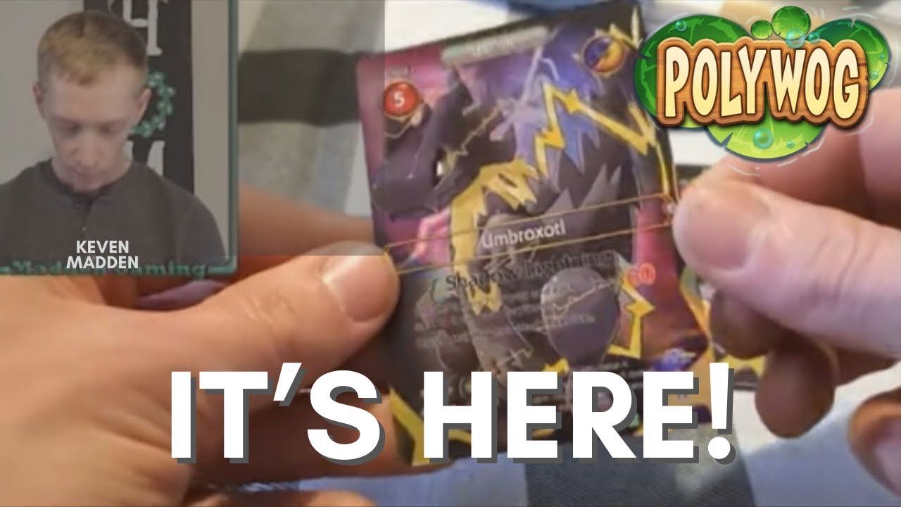 Polywog Sample Cards are Here! - Look at the Special Foiling! - YouTube
