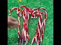 #solarenergy #candycane #stakelight #light #solarlight #manufacturer #christmasdecoration