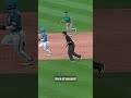 Crews’ cut at second base made all the difference! 💨