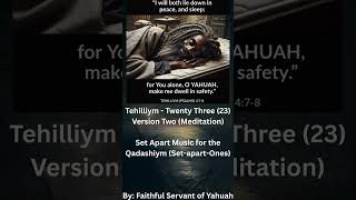 Tehilliym - Twenty Three (23) Version Two (Meditate Upon His Words)