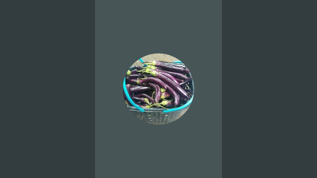 mark den adventure,travels,farming,n tradesman is live!