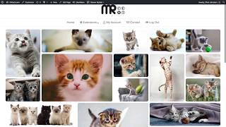 Use the Photo Module to Create a Responsive Grid
