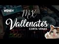 Vallenatos (Mix DJ WENDY)