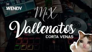 Vallenatos (Mix DJ WENDY)