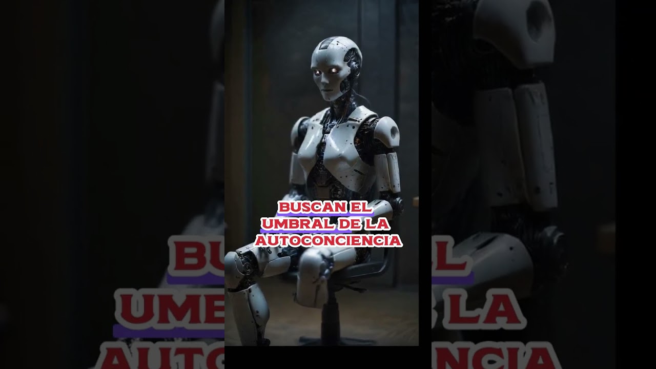 Podría una IA tener derechos humanos 