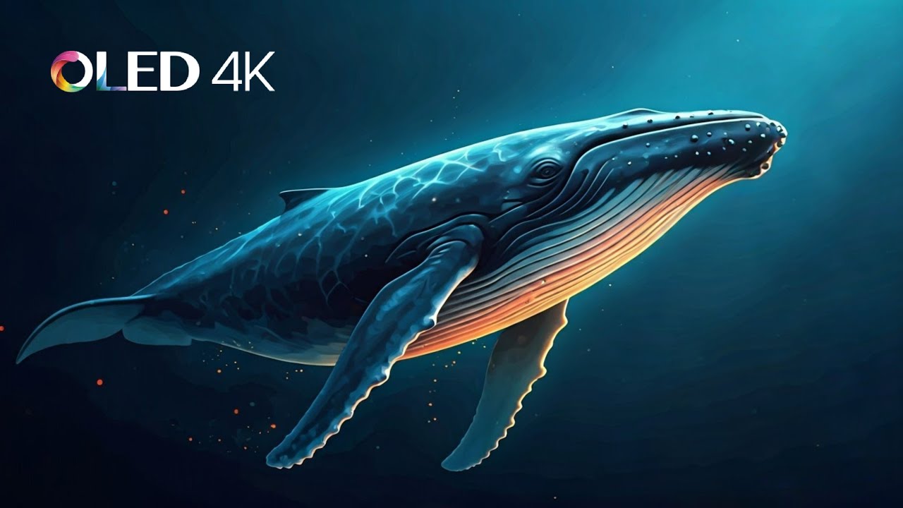 Whale Soundscapes for Relaxation