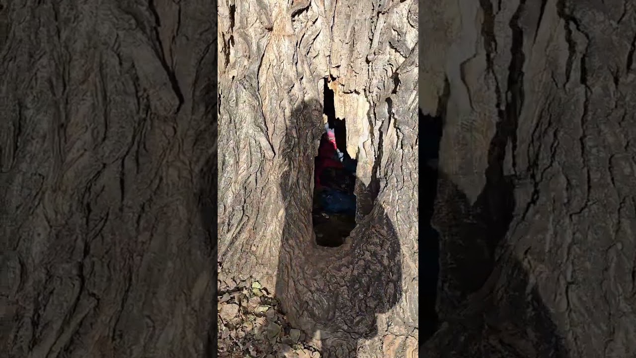 Вена, Грац. Австрия 