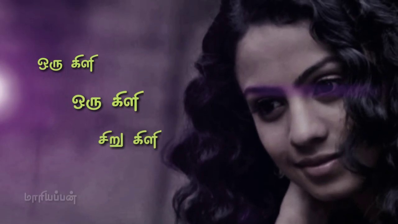 Leelai Oru Kili Oru Kili Song Tamil Lyrics Video Short Version Youtube leelai oru kili oru kili song tamil lyrics video short version