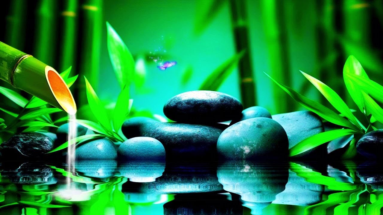 Rilaxation Music ♫ Stress Relief Meditation Music for Calming Study and a Tranquil Mind