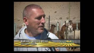 Salta Agropecuaria 557. Bloque 2