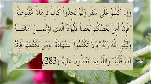 القران الكريم سورة البقرة الاية 283