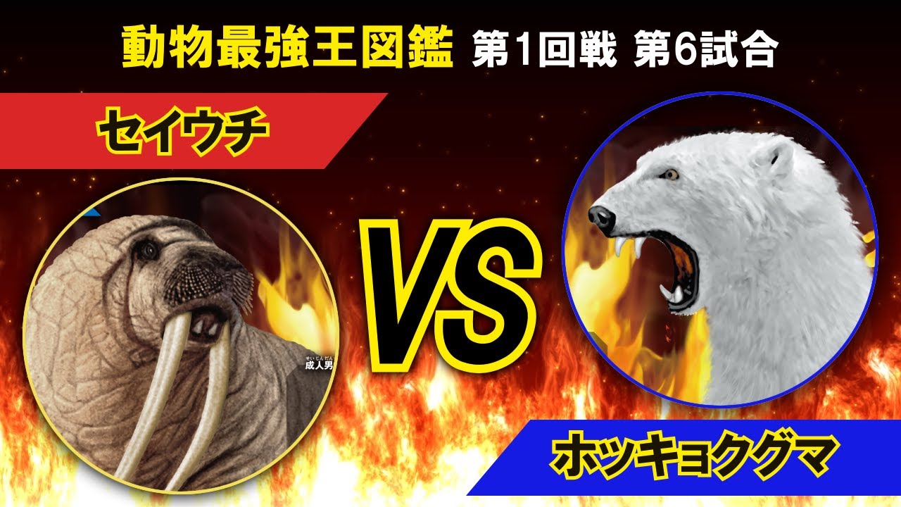 動物最強王図鑑 1回戦第5試合 Youtube