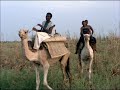 L Exile 1980 Dir Oumarou Ganda 
