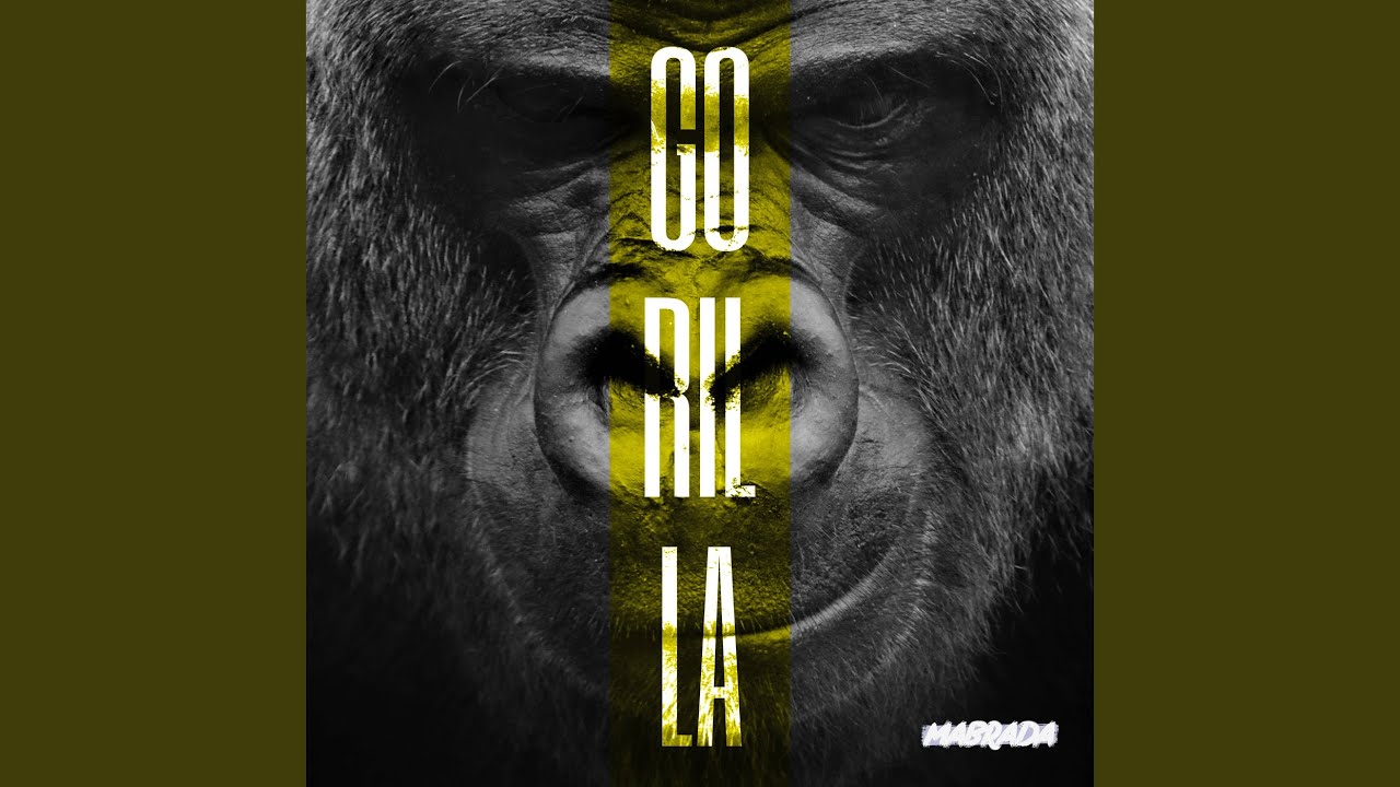 Gorilla