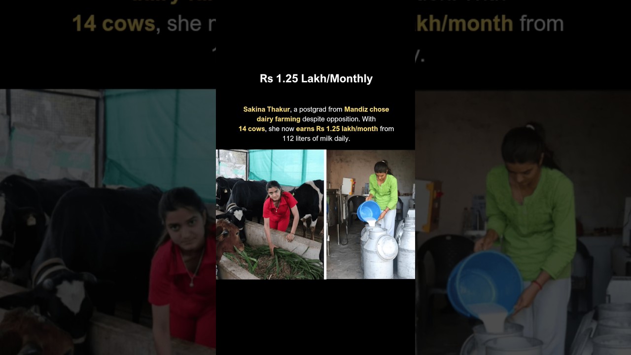 This Postgraduate Girl Started Dairy Farming, Now Earns Rs 1.25 Lakh Monthly.