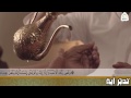 تدبر آية وقضى ربك عبدالباسط عبدالصمد 