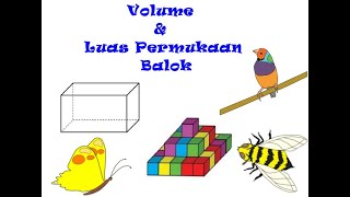 CARA MUDAH MENGHITUNG VOLUME DAN LUAS PERMUKAAN BALOK (KELAS 6 tema 5)