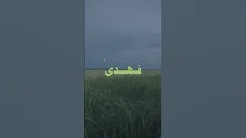 قران كريم بصوت الشيخ محمد صديق المنشاوي صلي على الحبيب المصطفى محمد وعلى اله وصحبه اجمعين قران 