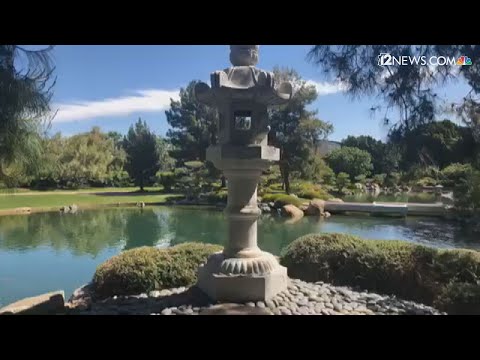 Video: Japanese Friendship Garden sa Phoenix Arizona