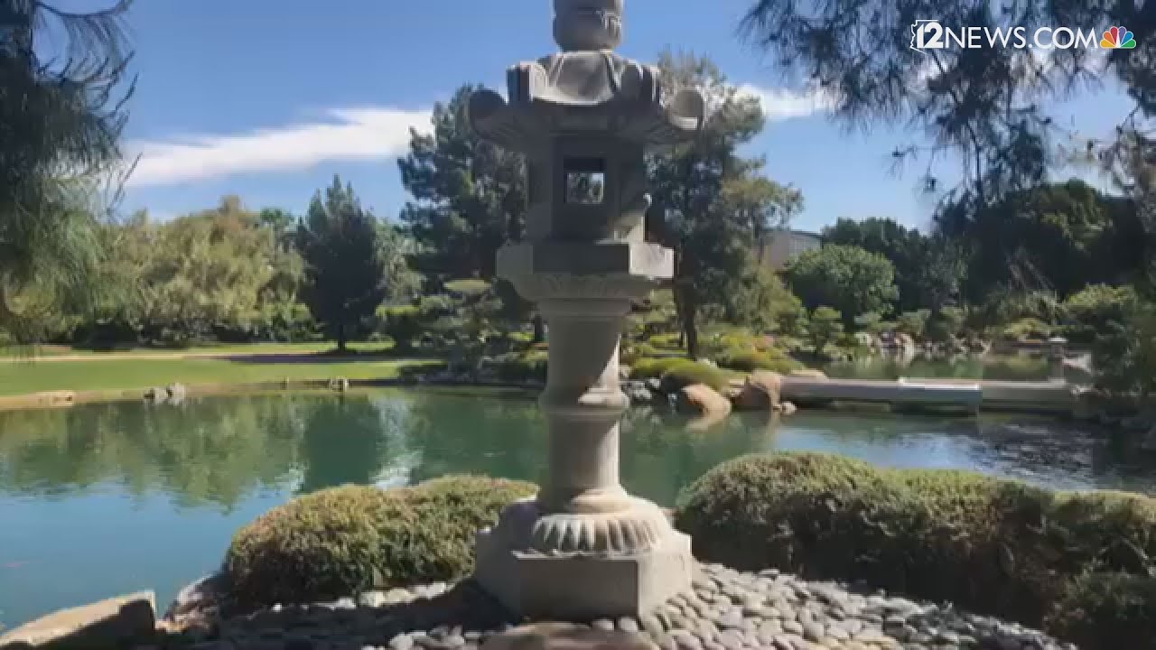 Take A Private Tour Of The Japanese Friendship Garden In Phoenix