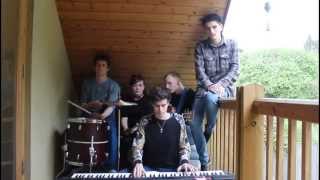 Animals Like Us - Acoustic Animals Like Us - Acoustic