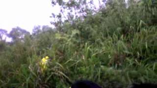 Capture 20110902 2