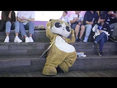 JHKTV] 신촌 명물고양이  내가왕이야shin chon special <strong>cat</strong> I am the <strong>king</strong>