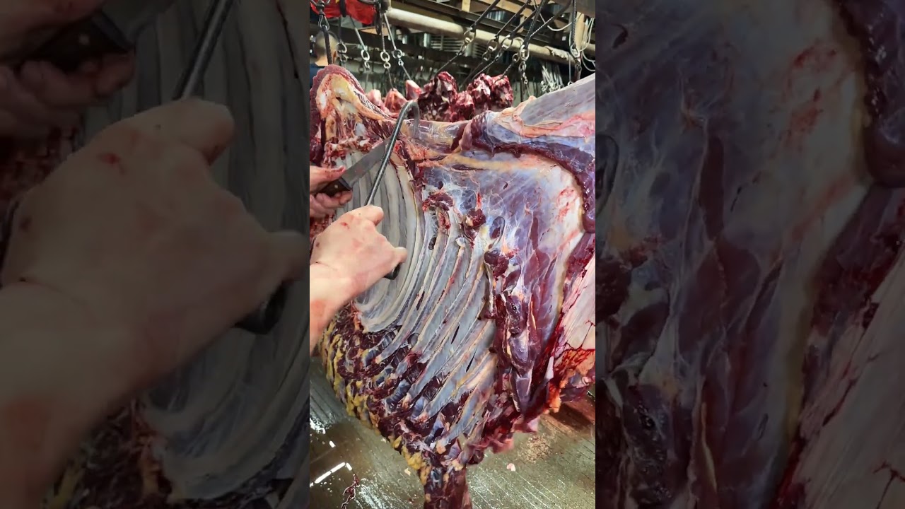 Flesh and bone separation skill