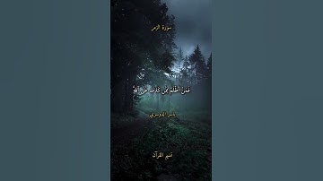 (إنك ميت وأنهم ميتون) 42 ثانية من الراحة النفسية | سورة الزمر | القارئ الشيخ ياسر الدوسري