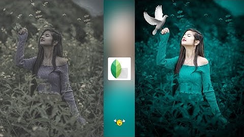 New Snapseed Background Color Change Trick | Snapseed CB Photo Editing | Snapseed Best Photo Editing