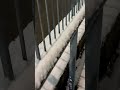 Fun in snow