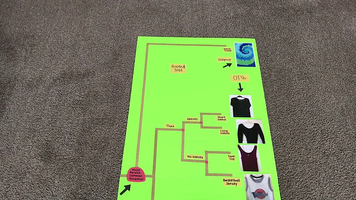 GN 311 Exam 5-1A Video: Phylogenetic Trees