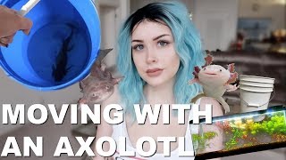 MOVING MY AXOLOTL TANK (Leaving my Apartments) by Taylor Nicole Dean   734,194 views 5 years ago 28 minutes