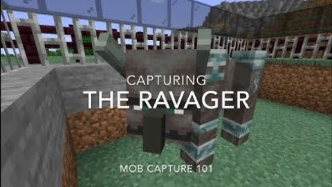 Mob Capture 101: How To Catch The Ravager