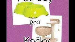 ⚫Potřeby pro kočičky ⚫
