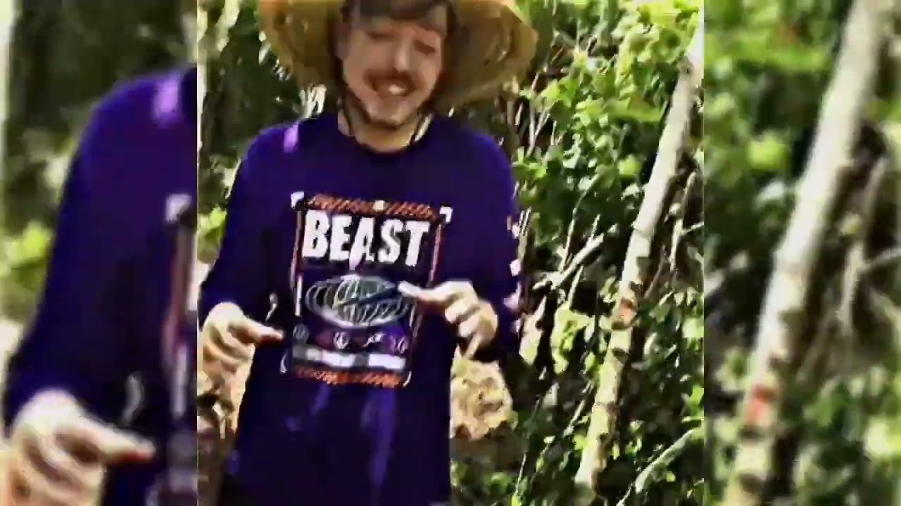 mrbeast meme song Phonk (slowed) TikTok meme 48540837040