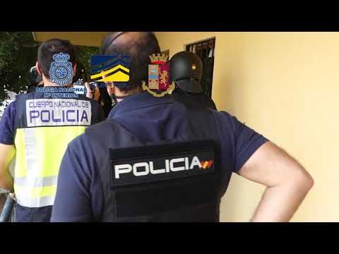 Video: La Policía Holandesa Caza La Mafia De Ovejas Después De Robos Sin Precedentes