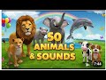 "Discover 50+ Animal Names with Fun Sounds &amp; Facts! 🐾 | Ultimate Learning Adventure!"