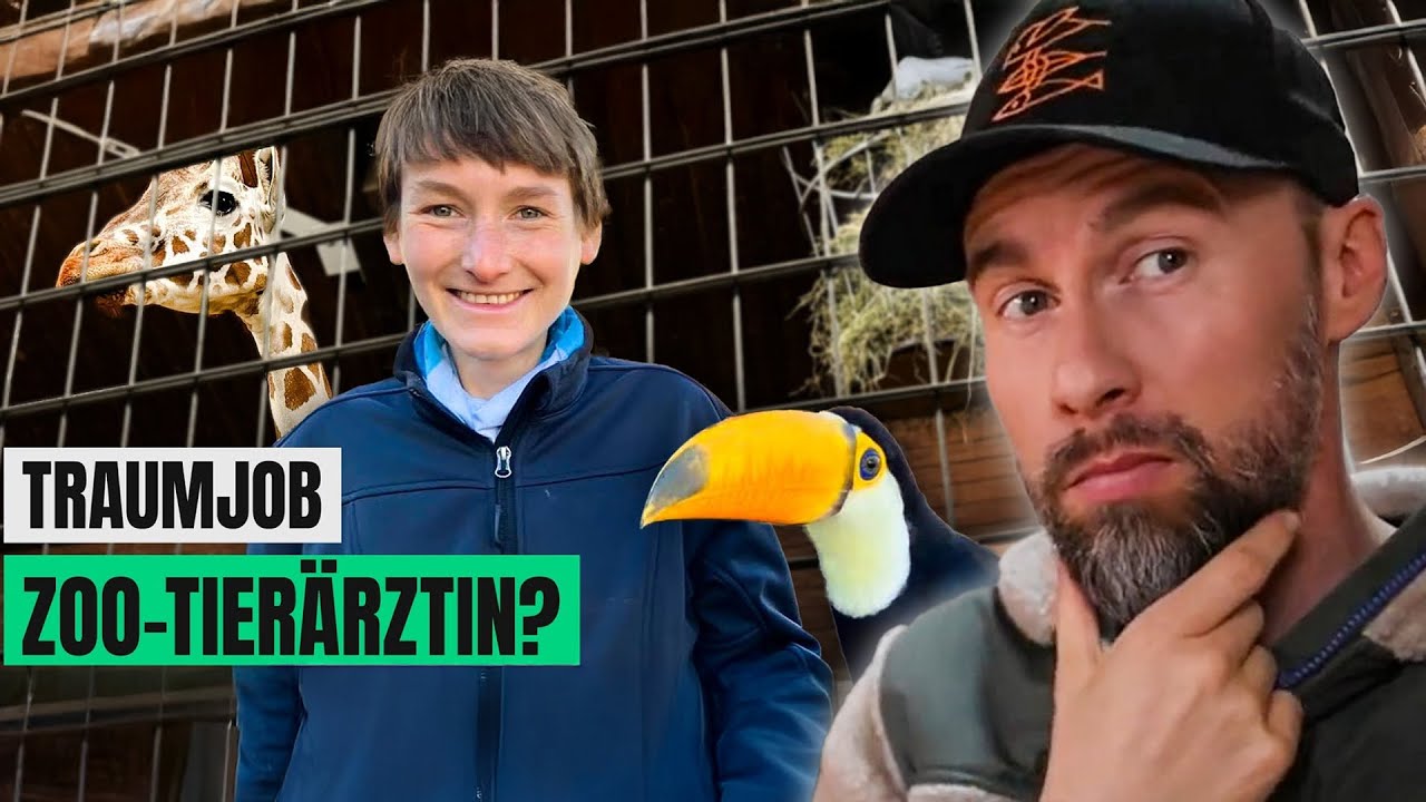 VIEL zu UNKRITISCHER BEITRAG zu ZOOS - Traumberuf Zoo-Tierärztin vom Funk | Robert Marc Lehmann