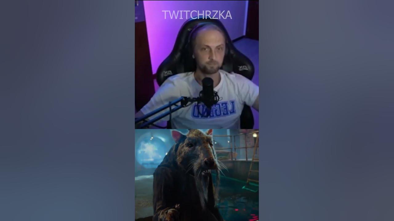 сплинтер про зубарева TWITCHRZKA #twitch #zubarefff - YouTube