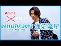 【Animal で答えて】海沼流星 - BALLISTIK BOYZ from EXILE TRIBE