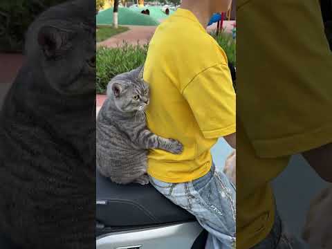 funny video 🤣#shortvideo #usa #viral #shorts