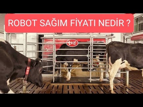 KÜÇÜK ÇİFTLİKLER İÇİN KİLİT ARKASI SAĞIM SİSTEMİ / ASANSÖRLÜ SİSTEM