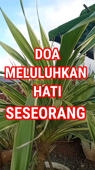 CARA CEPAT MELULUHKAN HATI SESEORANG #dzikir #doamustajab #feedshorts