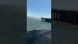 Rosie The Riveter Museum & Miller Knox Regional Shoreline 08-28-2023