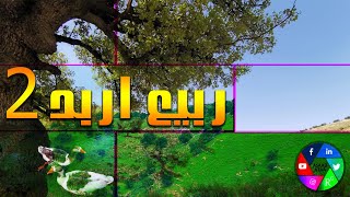 ربيع ريف اربد 2 / 2021 - الإردن 4K