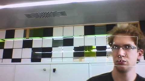 Real-Time Non-Rigid Face Detection and Object Tracking